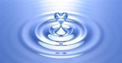 wasser meaning.